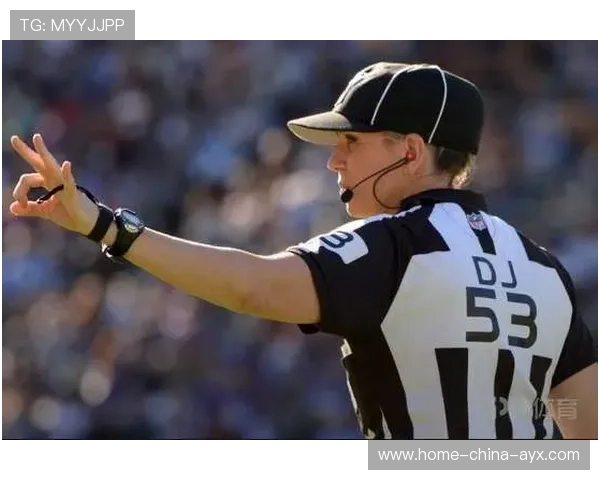 裁判员轮岗制度提升执法公平性和专业性,裁判员的执法原则